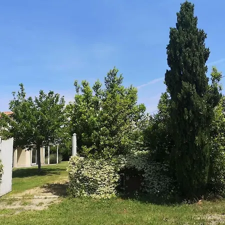 Meravigliosa A P. Romana